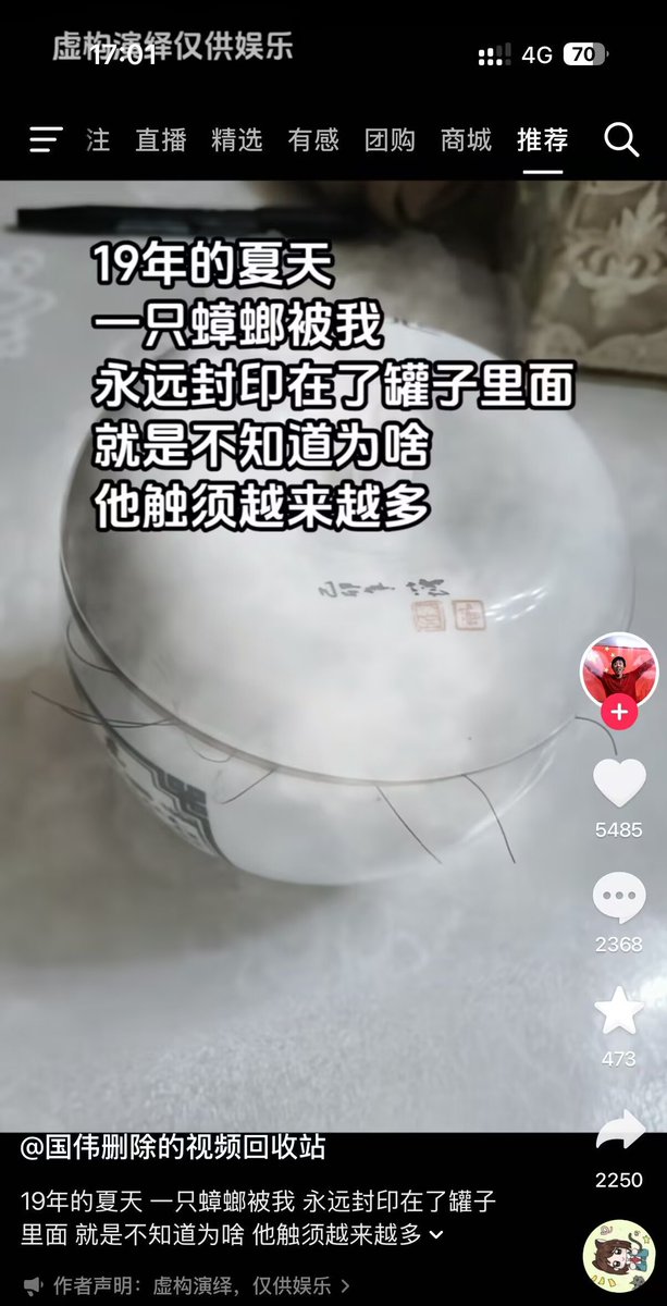 雲鳩 tweet media