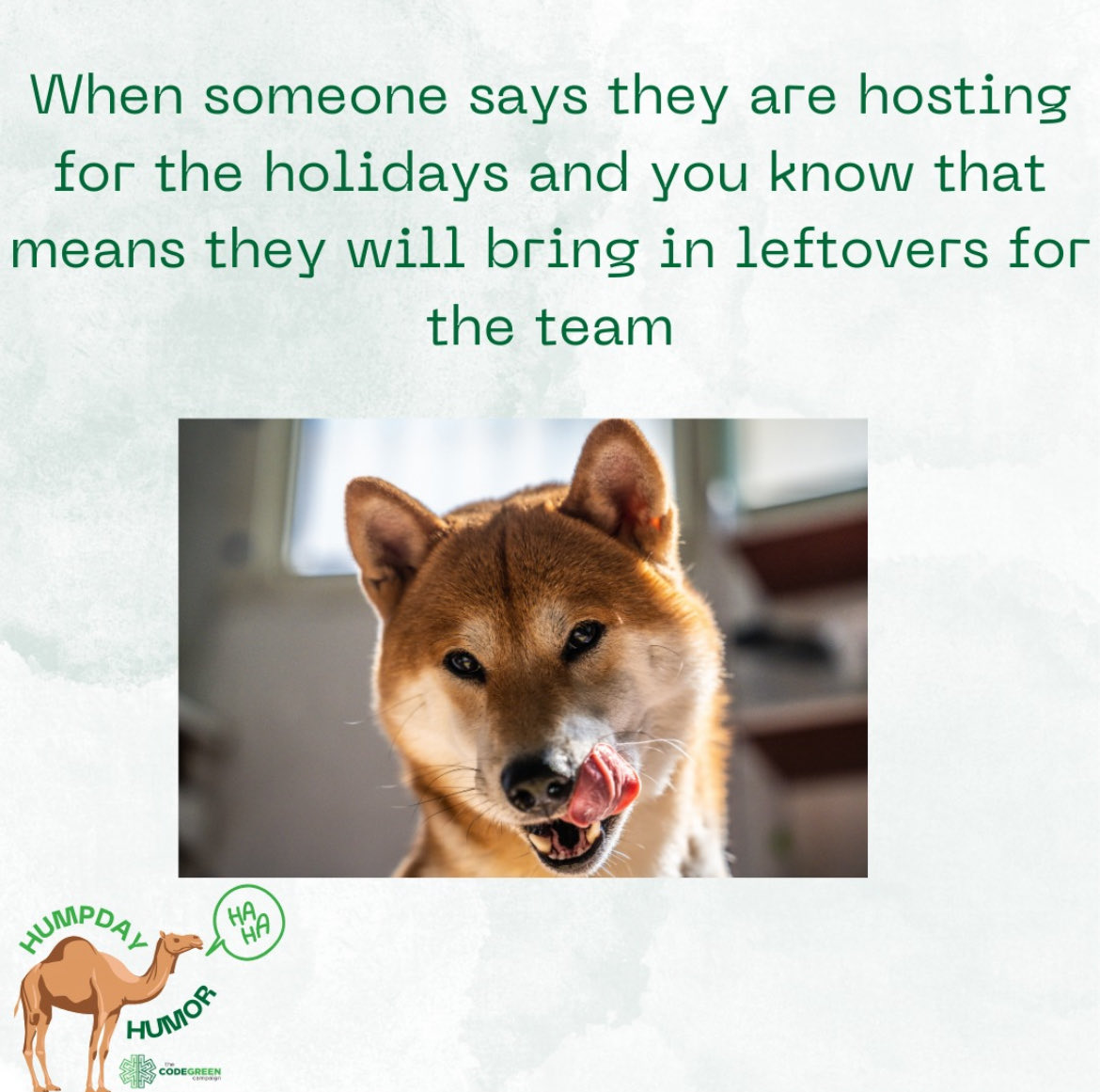 Code Green Campaign tweet media