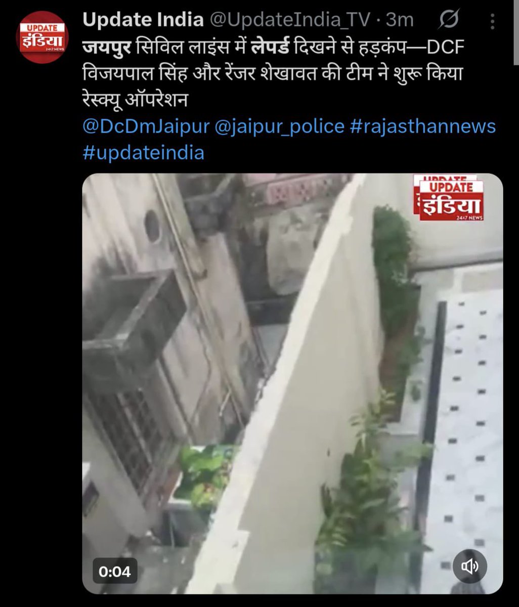 breaking News 
जयपुर VVIP एरिया सिविल लाइन में लेपर्ड   

जब भी कहीं दंगा भड़के, लेपर्ड पकड़ना हो आतंकियों का मोर्चा संभालना हो या कंधार में आतंकियों के सामने जाना हो ,राजनीति में बली देनी हो 
हमेशा ठाकुर को ही आगे किया जाता है <a href="/thebharatpur/">Anirudh D. Bharatpur</a>