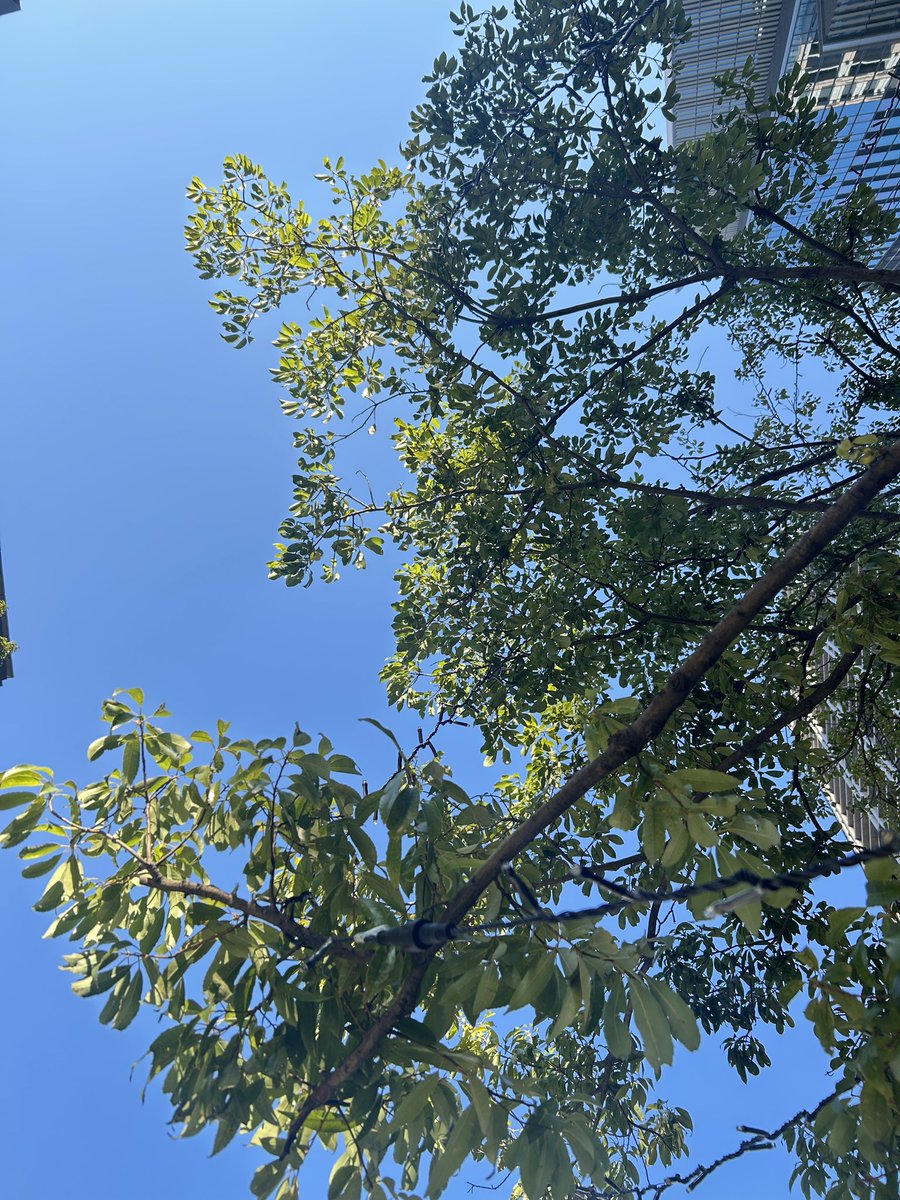 東京の空、綺麗だなぁ