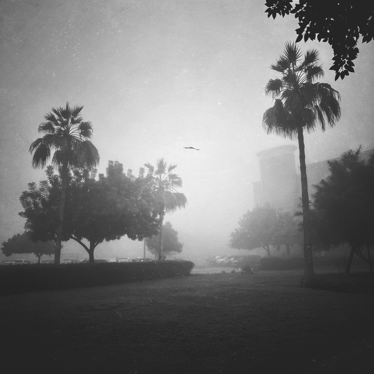 dchuiko's tweet photo. Silent morning in Dubai https://t.co/ufoPqCLtYW