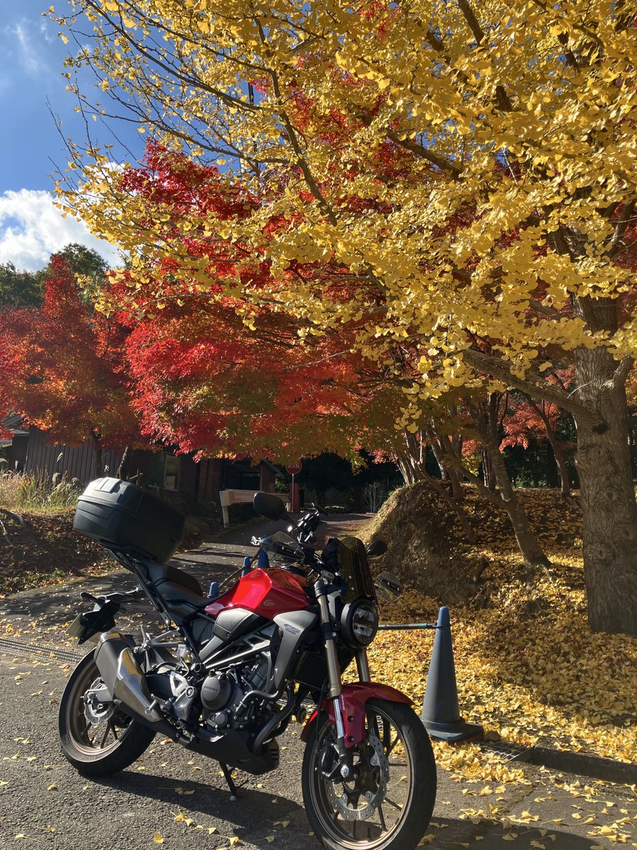 yamasan (@yamasan62501789) / Posts / X