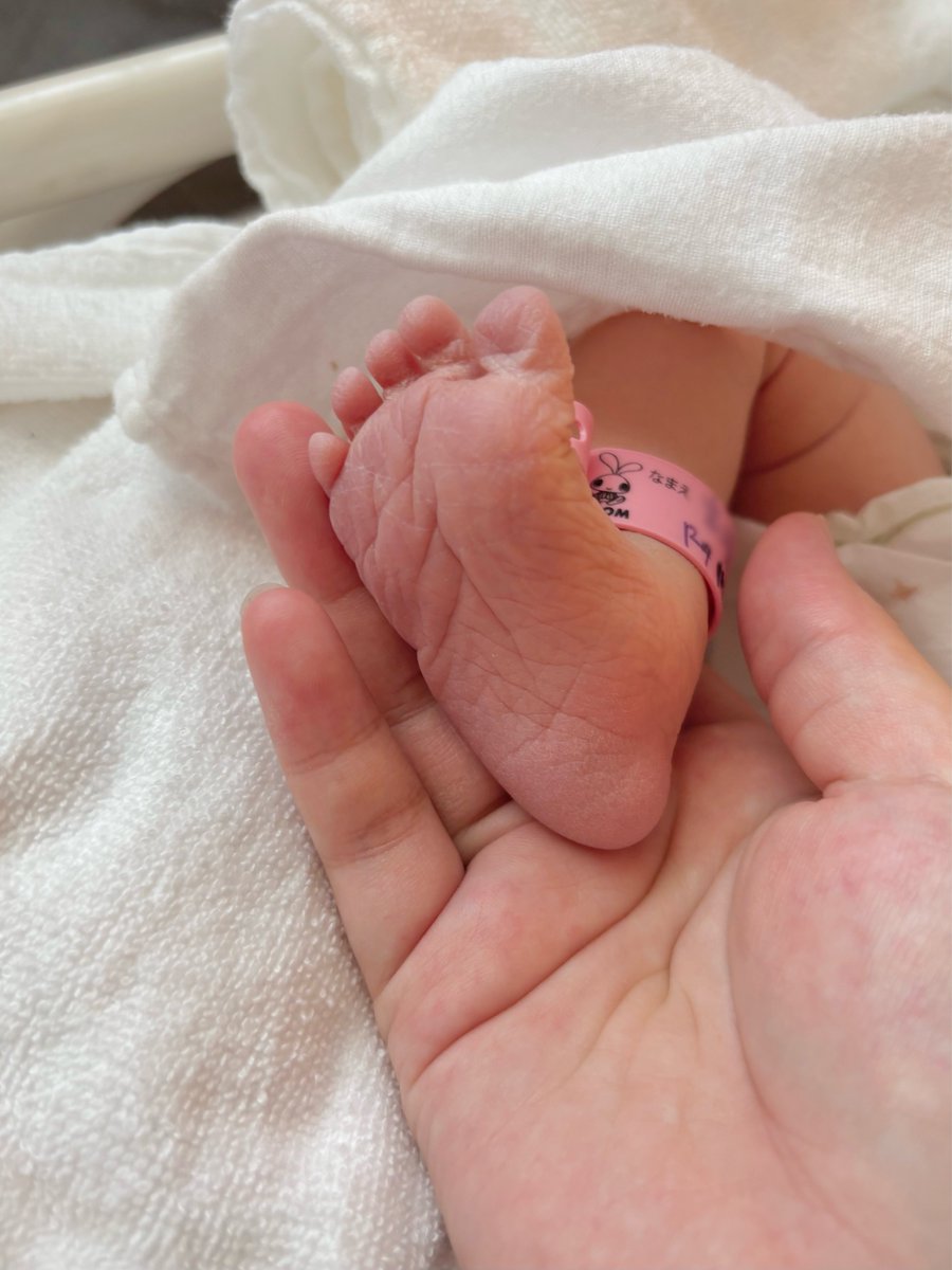 rrrn_spoon's tweet photo. 久しぶりの投稿！

 産まれた！！👶 https://t.co/ANP1wo5Z9V