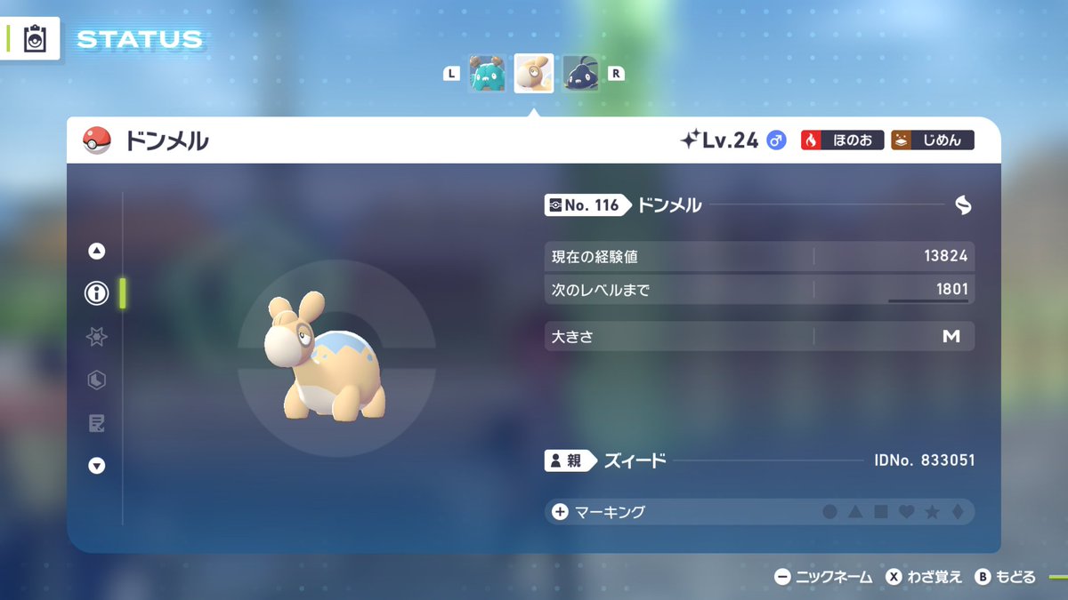 今日は大漁じゃー！