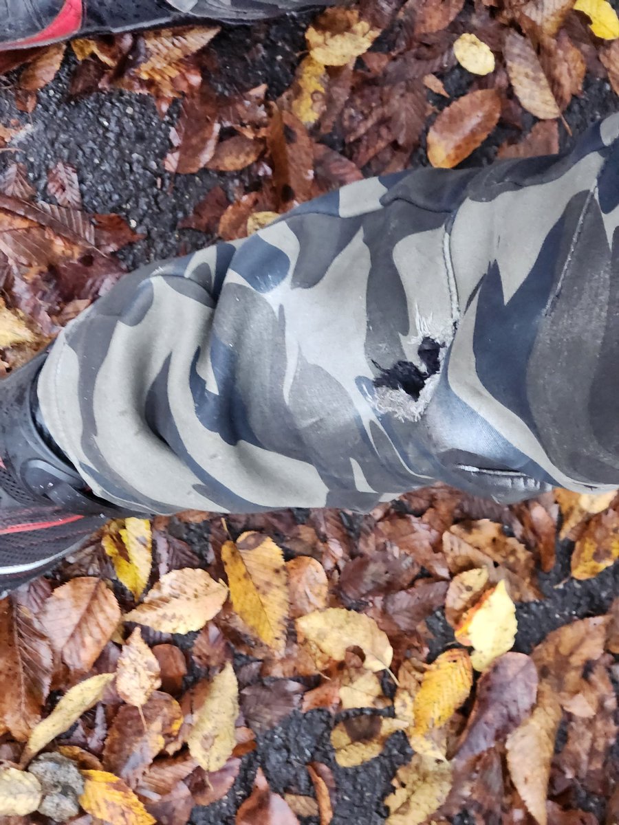 1年前の今日だった😇