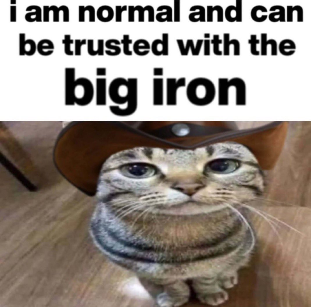 anna ✩‧₊˚ tweet media