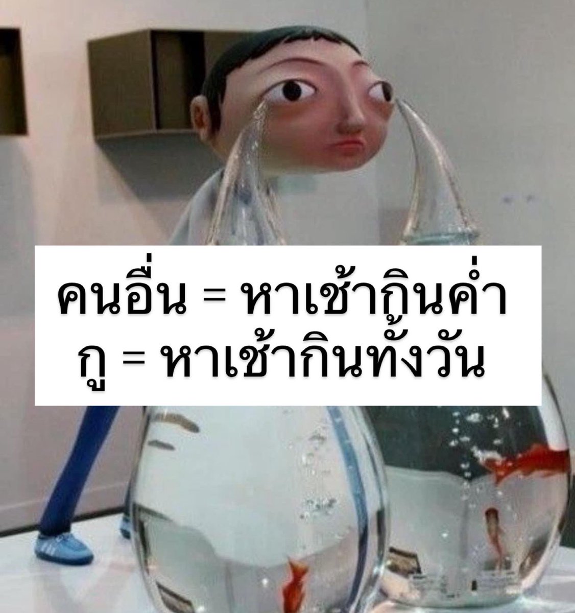 sutiฯ tweet media
