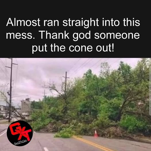 Dang..that reminds me of the time where there wasn't a cone and it was dark and ... well dang....avoid tree!