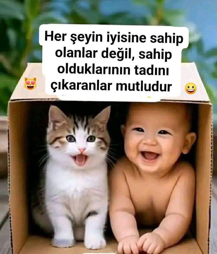 e7424c6c2093437's tweet image. Günaydınlar ☀️🦋☀️🌺☕🍫

Herkese Hayırlı Sabahlar işlerinde kolaylıklar dilerim.
#perşembe