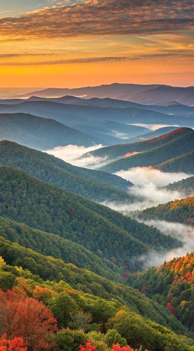 scouce007's tweet image. ❤️💚 Good Morning!💚❤️