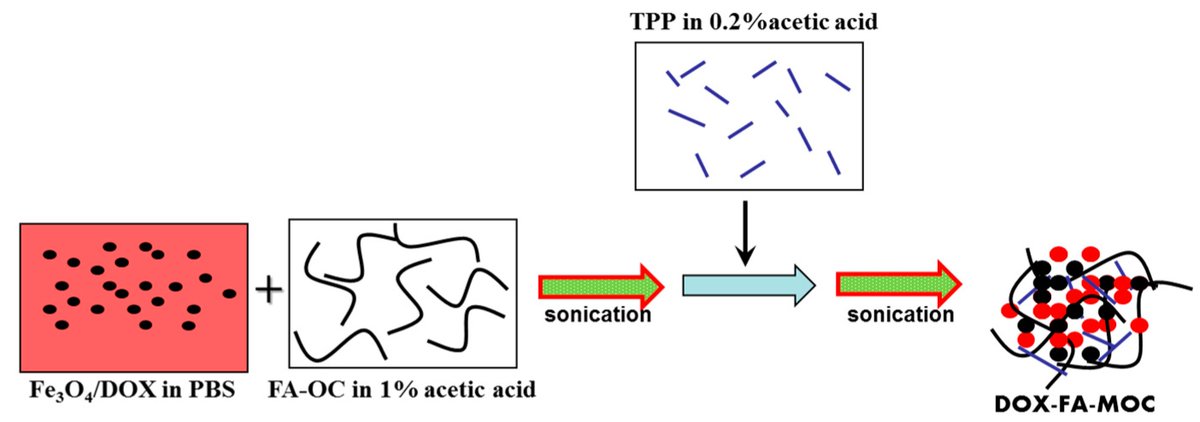 Nano_MDPI's tweet photo. pH-responsive nanoparticles that can be guided magnetically and targeted via folate receptors are described in this Editor's Choice paper 👇
https://t.co/vmWeizvaj5
Give it a read!
#Nanomedicine #TargetedDelivery https://t.co/2CACKCqRta
