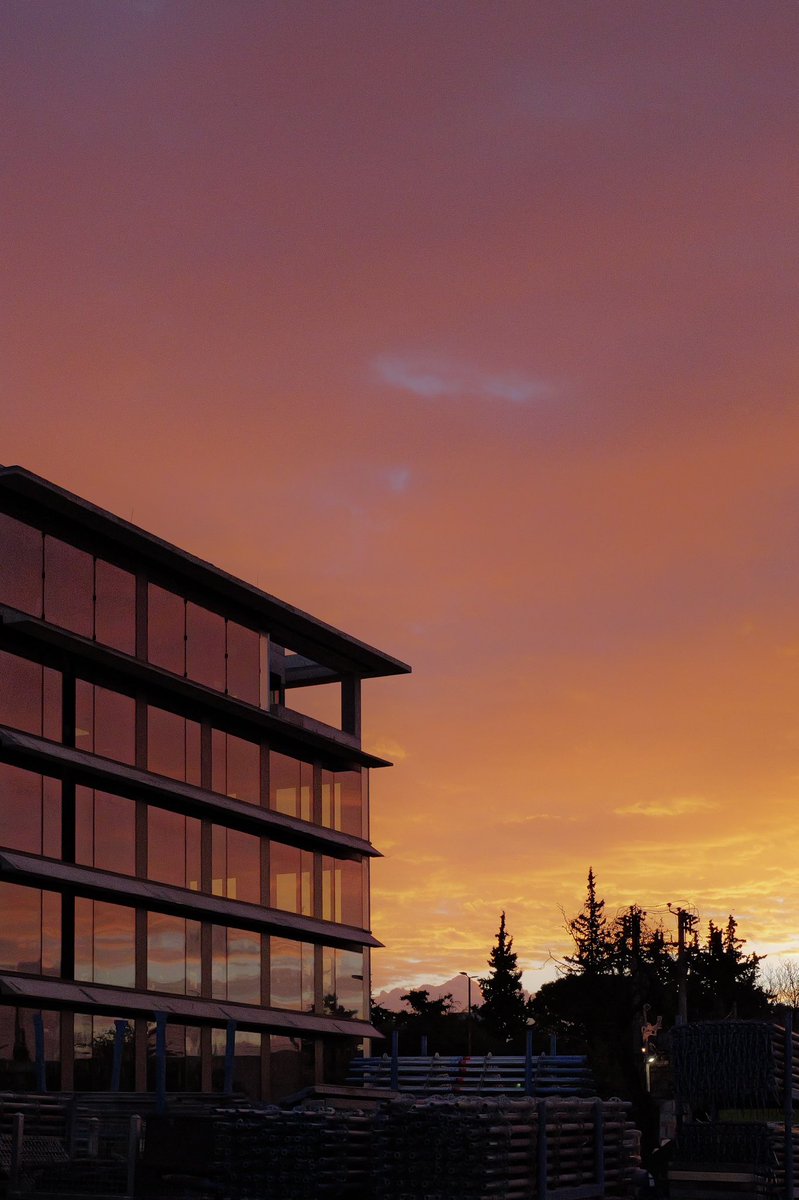 Birdy (@birdy_nam_nam) on Twitter photo 