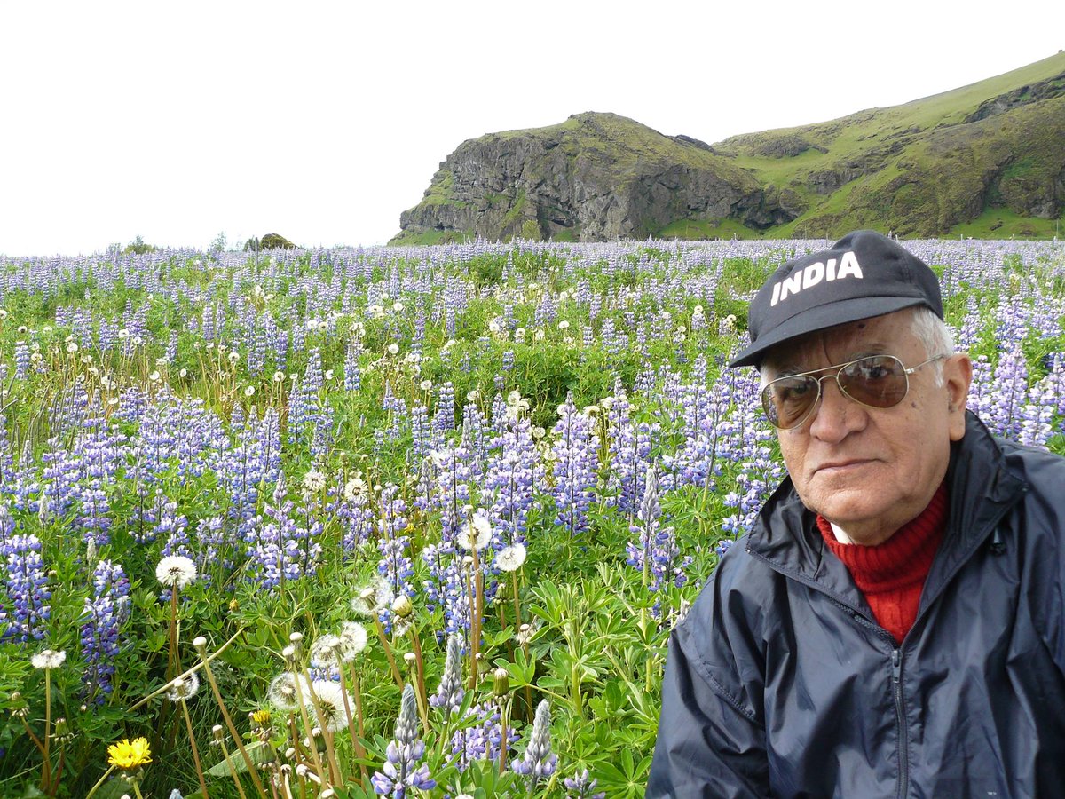 KJSChatrath's tweet image. That is me in a field of wild lupins in Iceland during my first visit there.  A lovely country to visit! #kjschatrath