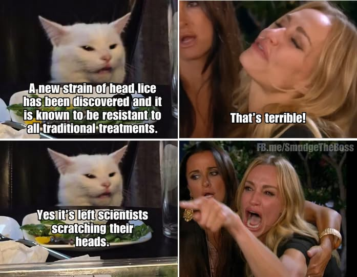 TOMCATCO (@tomcatco71) on Twitter photo 