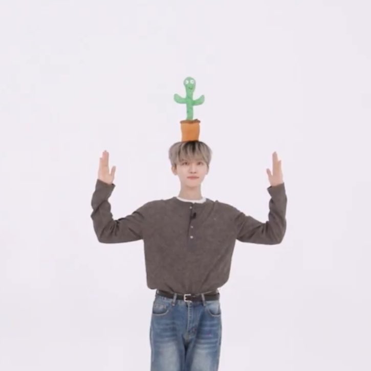 🐯🌱                                  🐰🌱