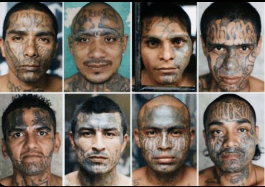 WillieDMack1's tweet image. Take a Wild Guess which ones the Communist Democrat Party are Protecting.
