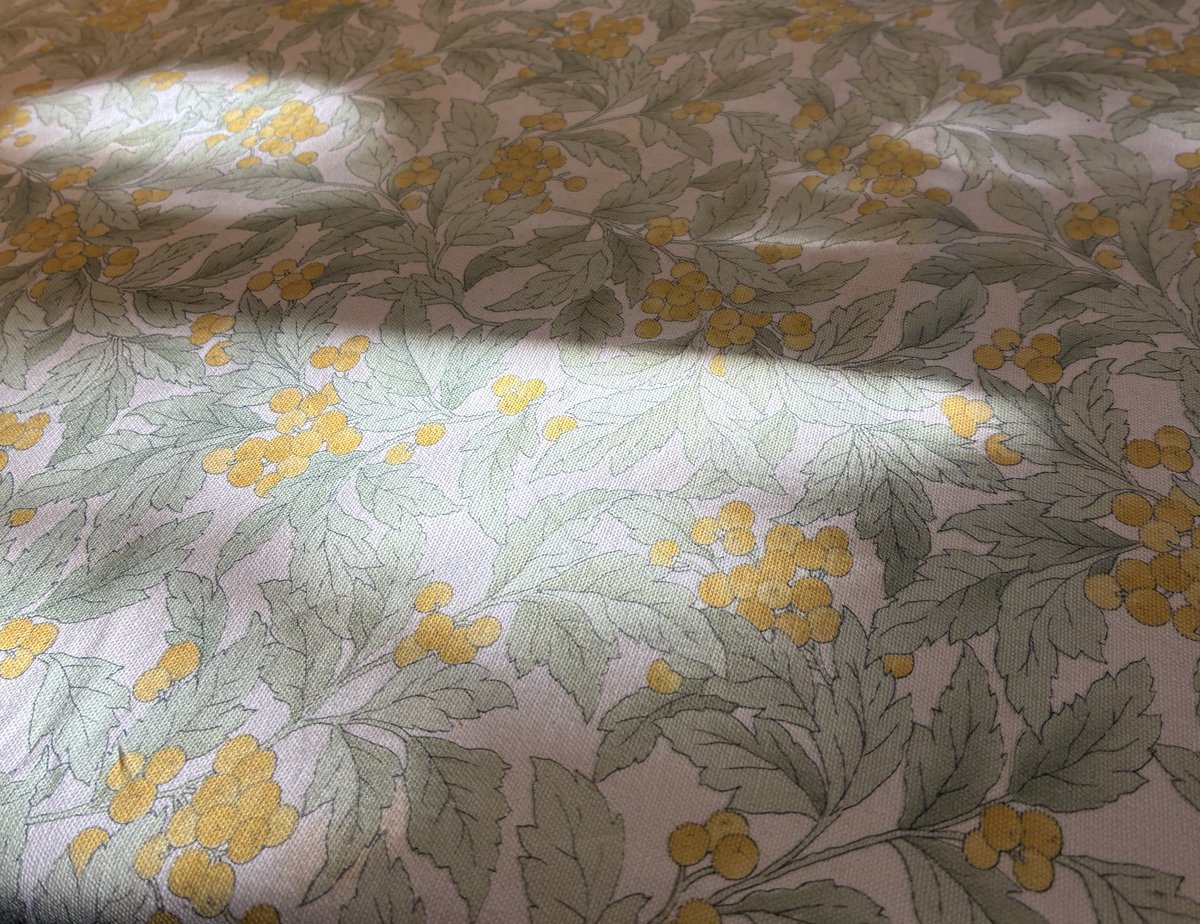 ふぅ…
この季節のゆらゆら光、好き。