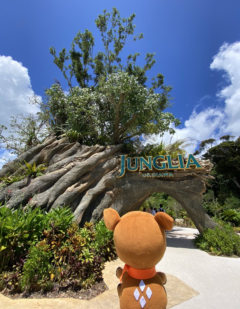 ／
沖縄限定🌺
au・UQ mobileをご利用の方に
ジャングリア沖縄1Dayチケットが当たる✨
＼

沖縄セルラー✖️ジャングリア沖縄
抽選で合計500名さまに
ジャングリア沖縄1Dayチケットをプレゼント🎁🎉
応募締切りまで残り10日！
まだの方はお早めに💨

#auジョイプロジェクト🦕