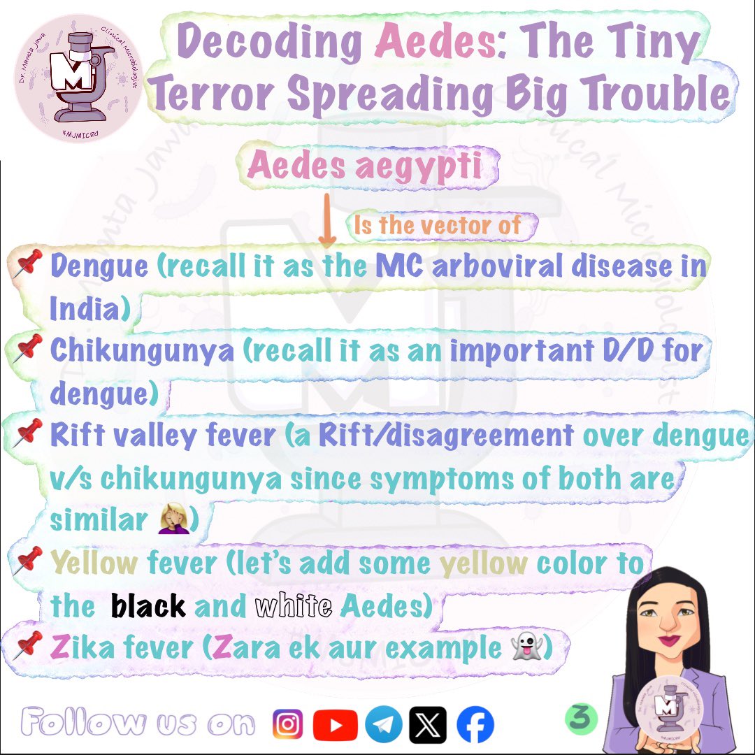 MJ_MICRO's tweet photo. Aedes decoded ✅🧿

#MamtaJawa #MJMICRO #MedTwitter #MedX #microbiology #MBBS #neetpg #INICET #USMLE #fmge #Medstudent #CDC #AmericanSocietyOfMicrobiology #MicroTwitter #ASM #IDtwitter #IDboardreview #mayoclinic #microrounds https://t.co/DlIkfedFGf