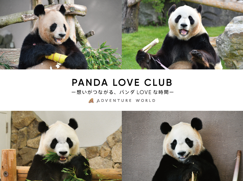 🐼PANDA LOVE CLUB🐼
『楓浜』PANDA バースデーLOVEスペシャルトークイベント 開催！

2025年6月に中国へ帰国した4頭の誕生日を記念してエデュテイナーのトークを実施する「PANDA