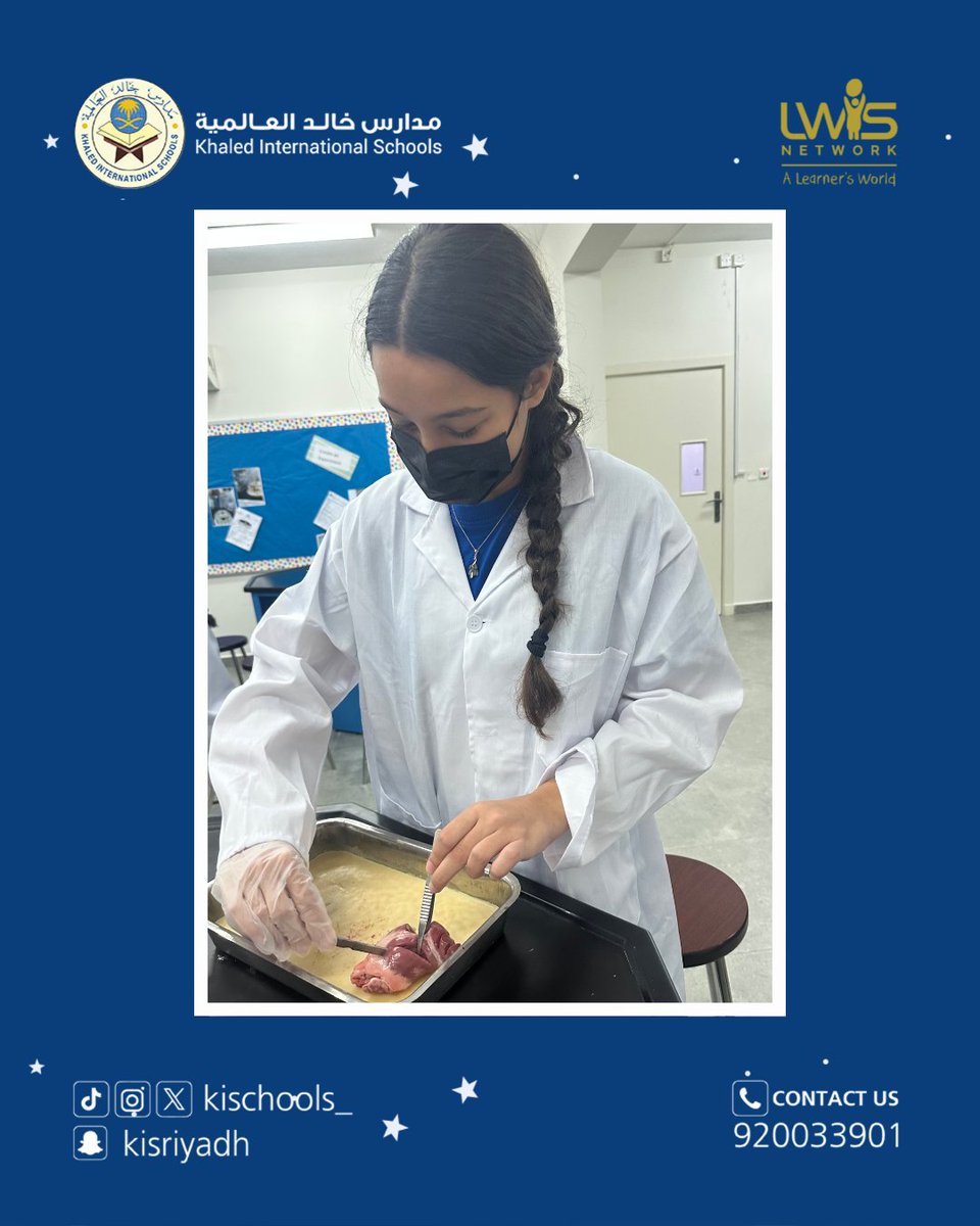 Grade 8 students dissected a heart to explore the circulatory system—learning through hands-on investigation! 🫀🔍 💡Which part pumps blood through the body?
استكشف طلاب الصف الثامن الجهاز الدوري عبر تشريح القلب في تجربة تعليمية تفاعلية! 🫀🔍برأيكم، ما هو العضو المسؤول عن ضخّ