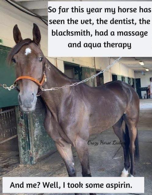 Kristen Manning tweet media