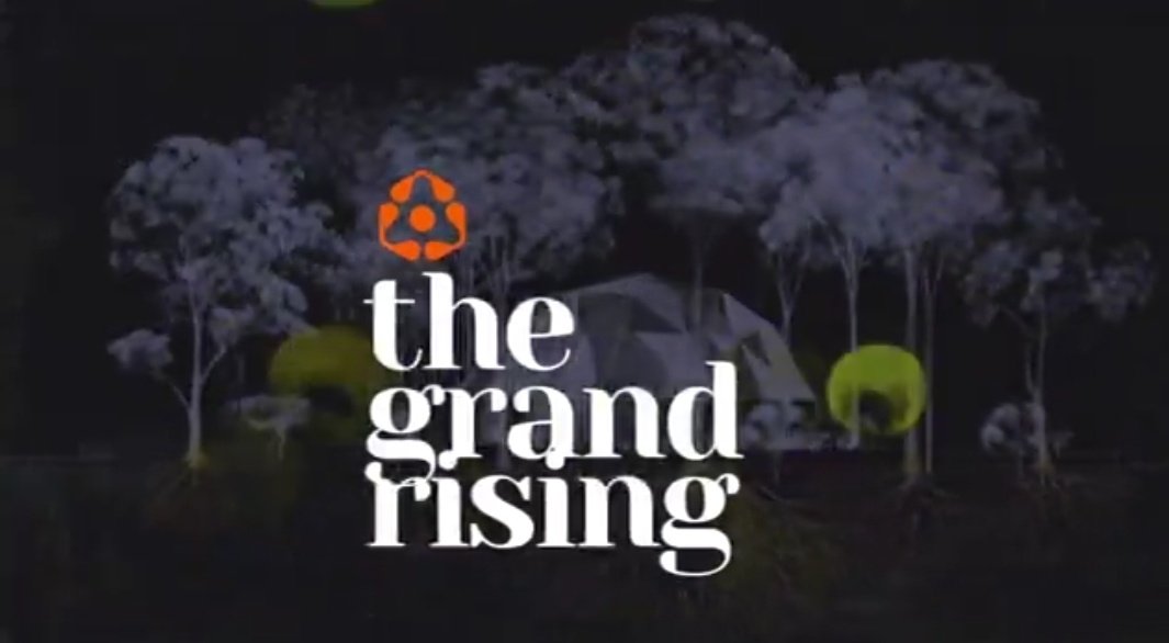 omo
I just tried to build a real time <a href="/DroseraNetwork/">Drosera</a> Stats platform a site where users can see their Discord roles and activity (messages sent, last active, rank, join date), blockchain/chain metrics (validators, traps, network uptime, events),