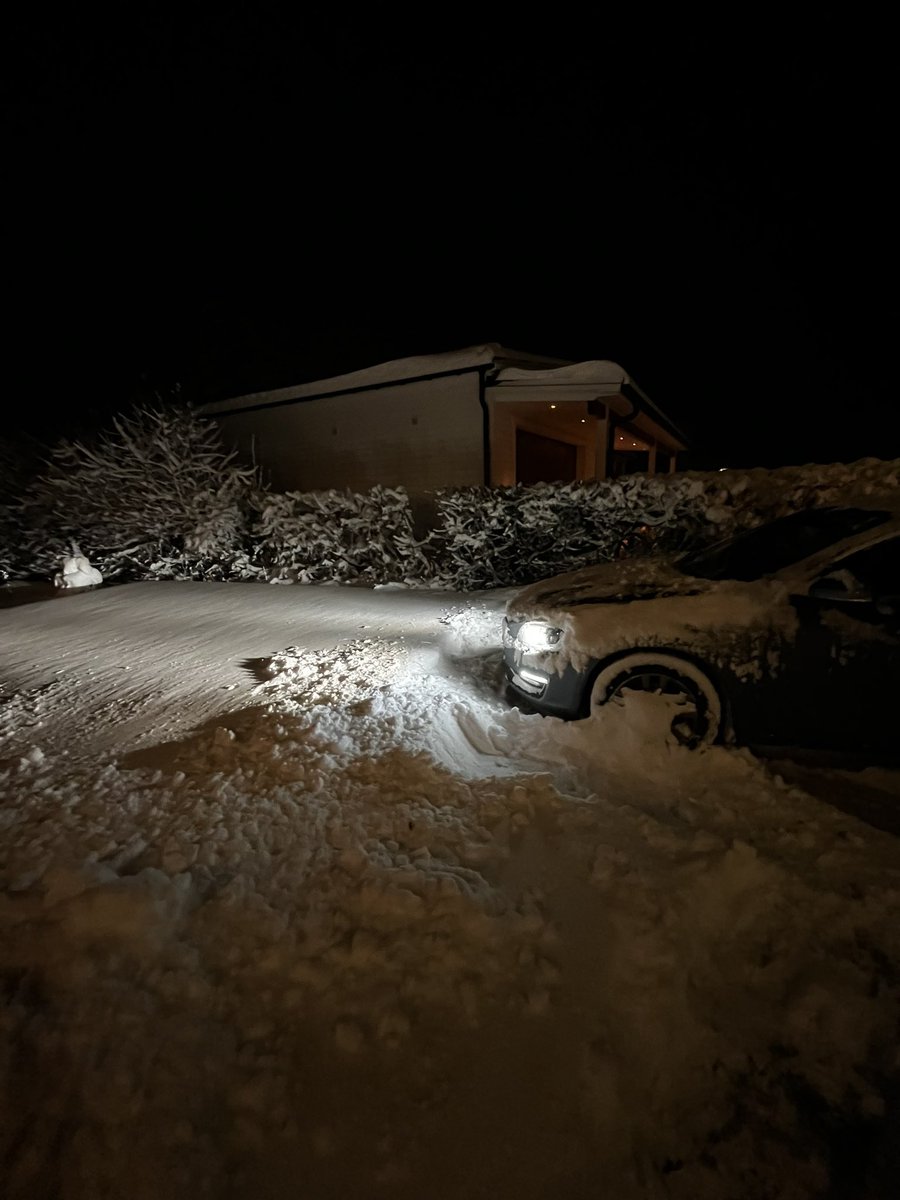 Elliot Lindfors tweet media