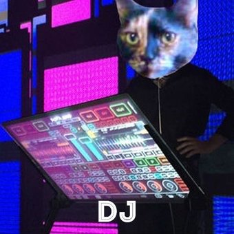 CinniMini2's tweet image. That wraps it up for me, Angel Cinni. Please clap your paws and welcome your next hour&apos;s DJ, Bea @Bea_Bells. #Nipclub