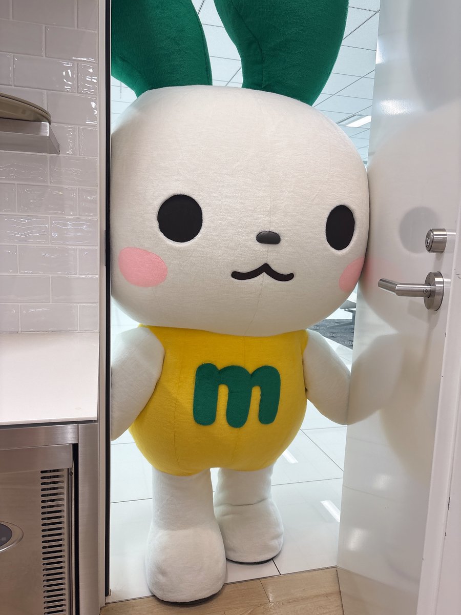 GMOさんとこ遊びに行ったときのマイぴょんです。
ええ、普通に通路にはさまってましたね。