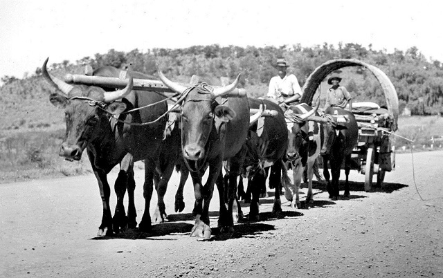 Bulawayo’s famously wide streets aren’t an accident they are part of the city’s foundational design philosophy.

To allow a full span of ox-wagons to turn around.

Bulawayo was designed in the late 1800s during the ox-wagon era.