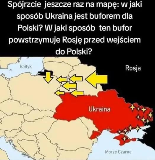 Piotr tweet media