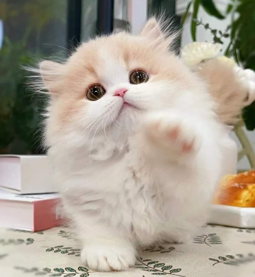 smile4me2k5's tweet image. DKMMO827129.DMM6