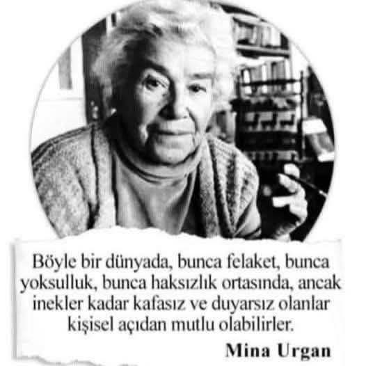 Fatma tweet media