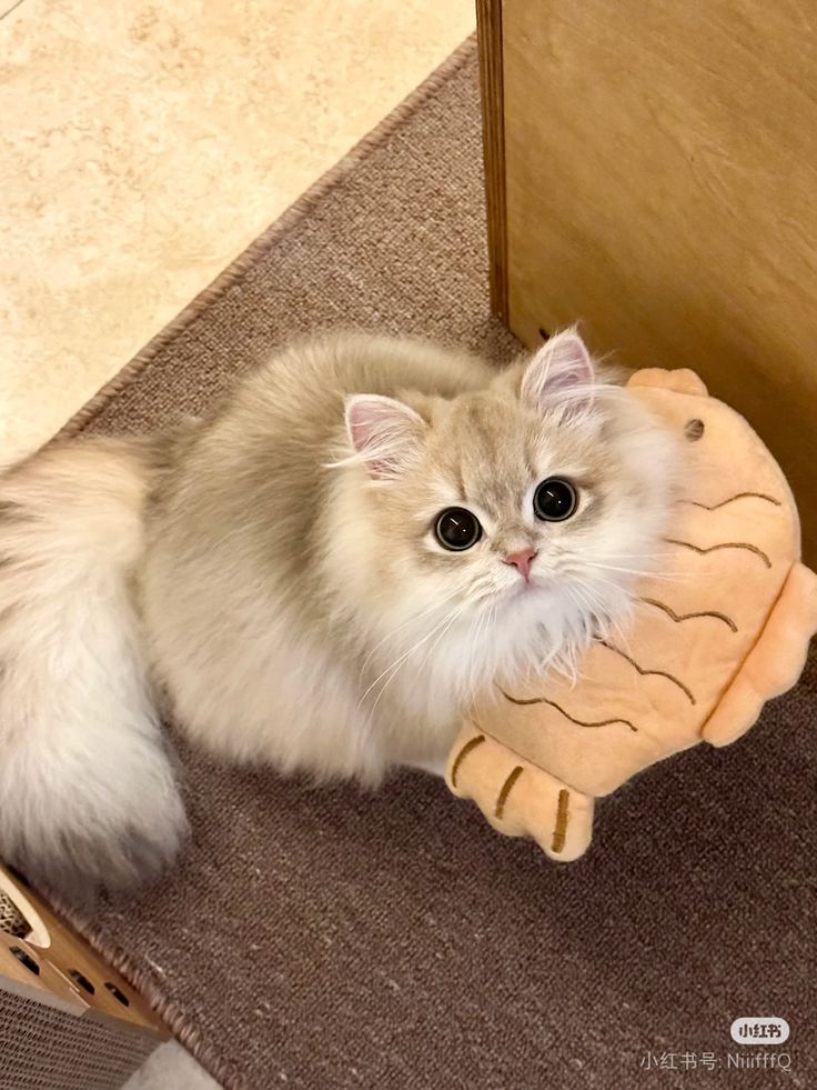 ManjunathaL14's tweet image. DKMMO827129.DMM7