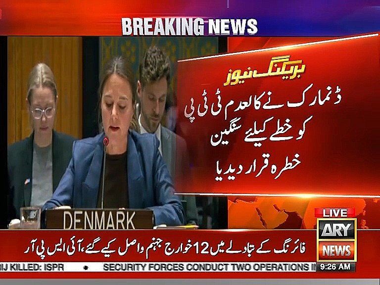ForumStrategic's tweet photo. United Nations Security Council [UNSC] 🚨

Thank you Denmark 🇩🇰 🤝 🇵🇰 https://t.co/lIewqVFBEy