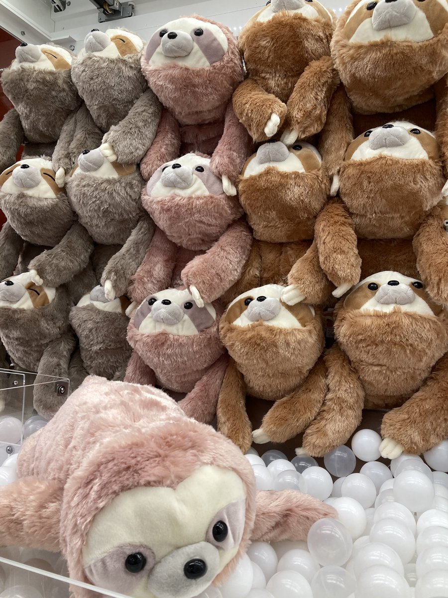 なまけもの　写真のYとG-450値引き 新景品入荷情報】 くったりナマケモノまったりんちょウルトラBIG