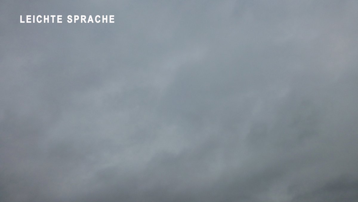 Guten Morgen!
Heute ist der Himmel grau.
Es ist kalt.
Es sind nur 3 Grad.
Unsere Dachtauben sagen:
Wahrscheinlich schneit es heute.
Wir fragen sie schon länger:
Wie wird das Wetter?
Heute sagen sie:
Der Schnee kommt nach Trier.
Zwischen 15 Uhr und 17 Uhr.
Auch in Merzig soll es