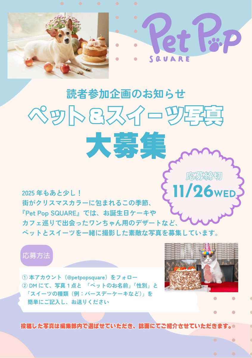 STAGE／Dance／Pet Pop SQUARE (@STAGESQUARE) / Posts / X