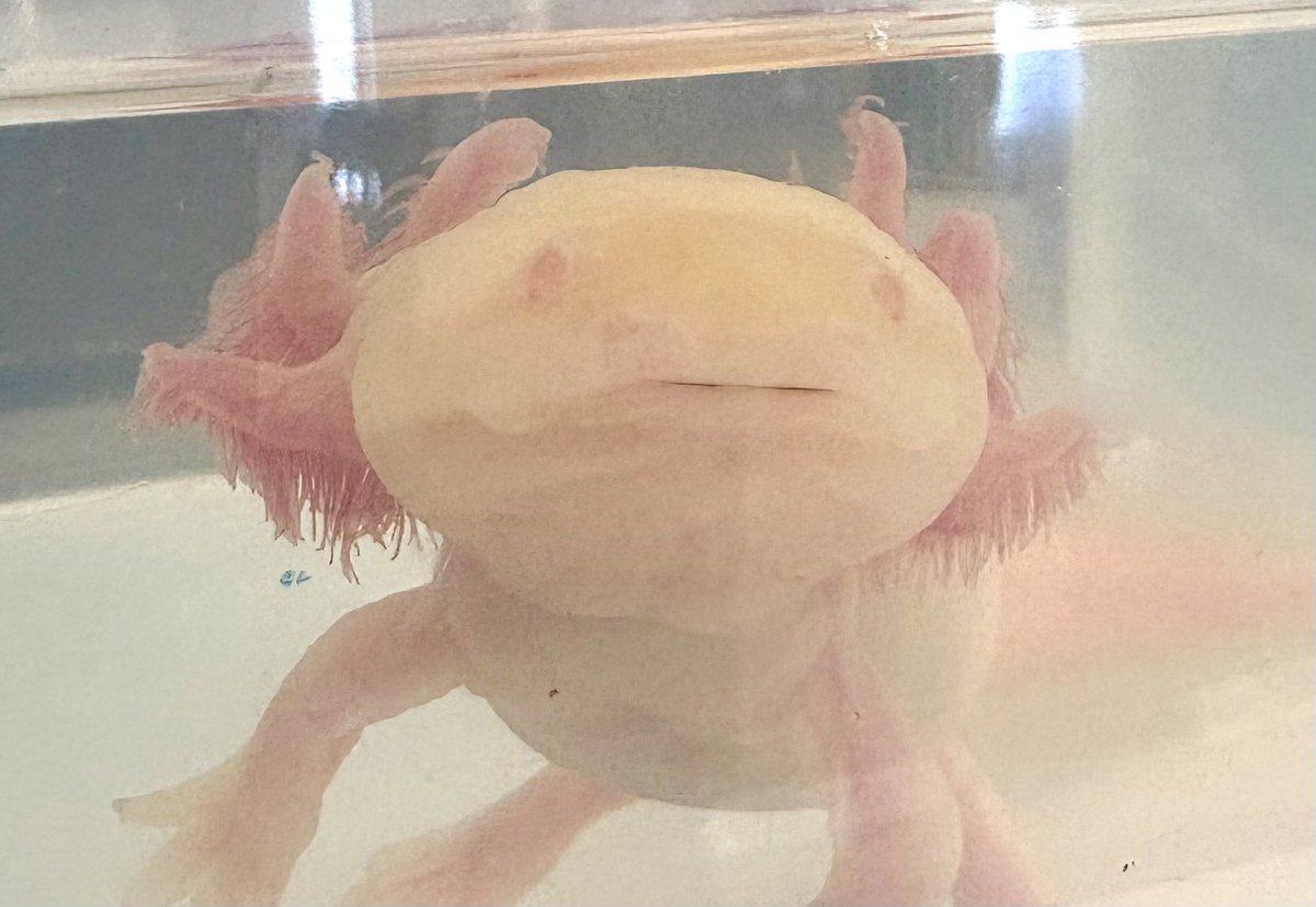 Qちゃん (@Q705Q) / Posts / X