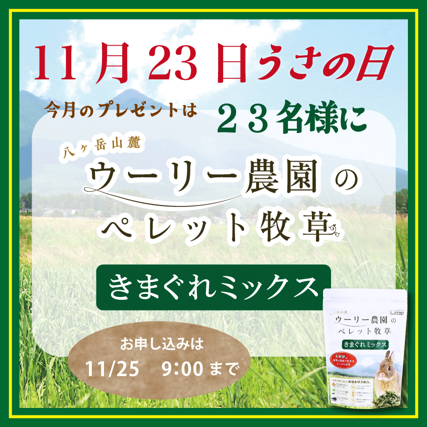 🎁ウーリーうさ23の日🎉

🧑‍🌾新商品🧑‍🌾
ウーリー農園のペレット牧草
きまぐれミックス
プレゼント✨

🐰ご応募方法🐰
①ウーリーのXをフォロー
②本投稿をリポスト＆いいね！
③応募フォームより必要事項入力
x.gd/l4fnC

たくさんのご応募お待ちしてます！

＃ウーリー
＃きまぐれミックス