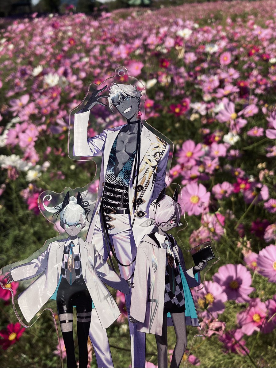 豆黄 (@mameki___) on Twitter photo 