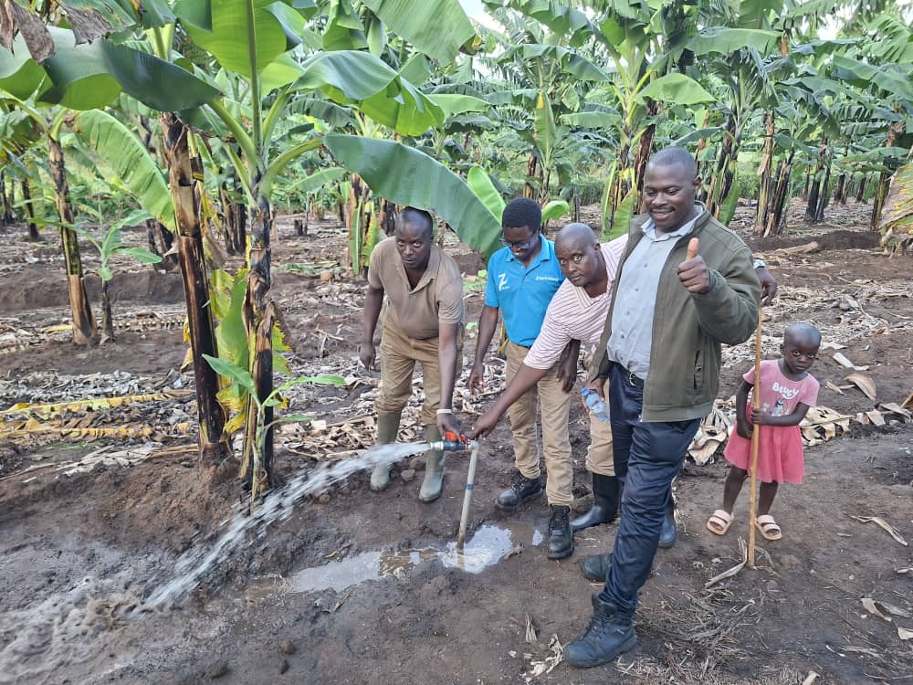 sprinktech's tweet image. Not long ago, a farmer in Mbarara told us, “I’m tired of choosing between buying fuel and feeding my family.”

So we showed him a different path to solar pumping.
Today, his crops are green even in the dry season. his costs are down,his harvest is up 
and his smile brighter than…