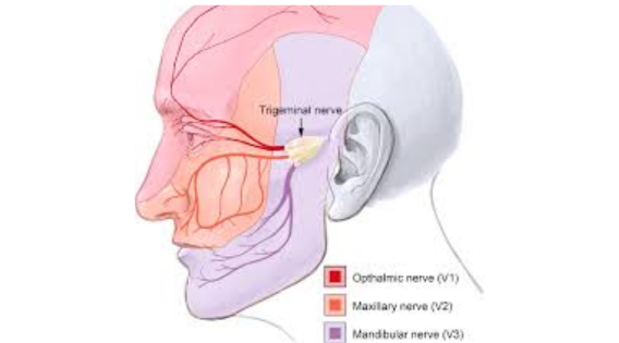 drsujoysanyal's tweet image. The Role of Neurosurgeons in Trigeminal Neuralgia Treatment: Expertise and Care - drsujoysanyal.com/the-role-of-ne… 

#trigeminalneuralgia #trigeminalneuralgiaspecialist #trigeminalneuralgiatreatment #TrigeminalNeuralgiaAwareness #TheSuicideDisease #neurosurgeon #neurosurgery