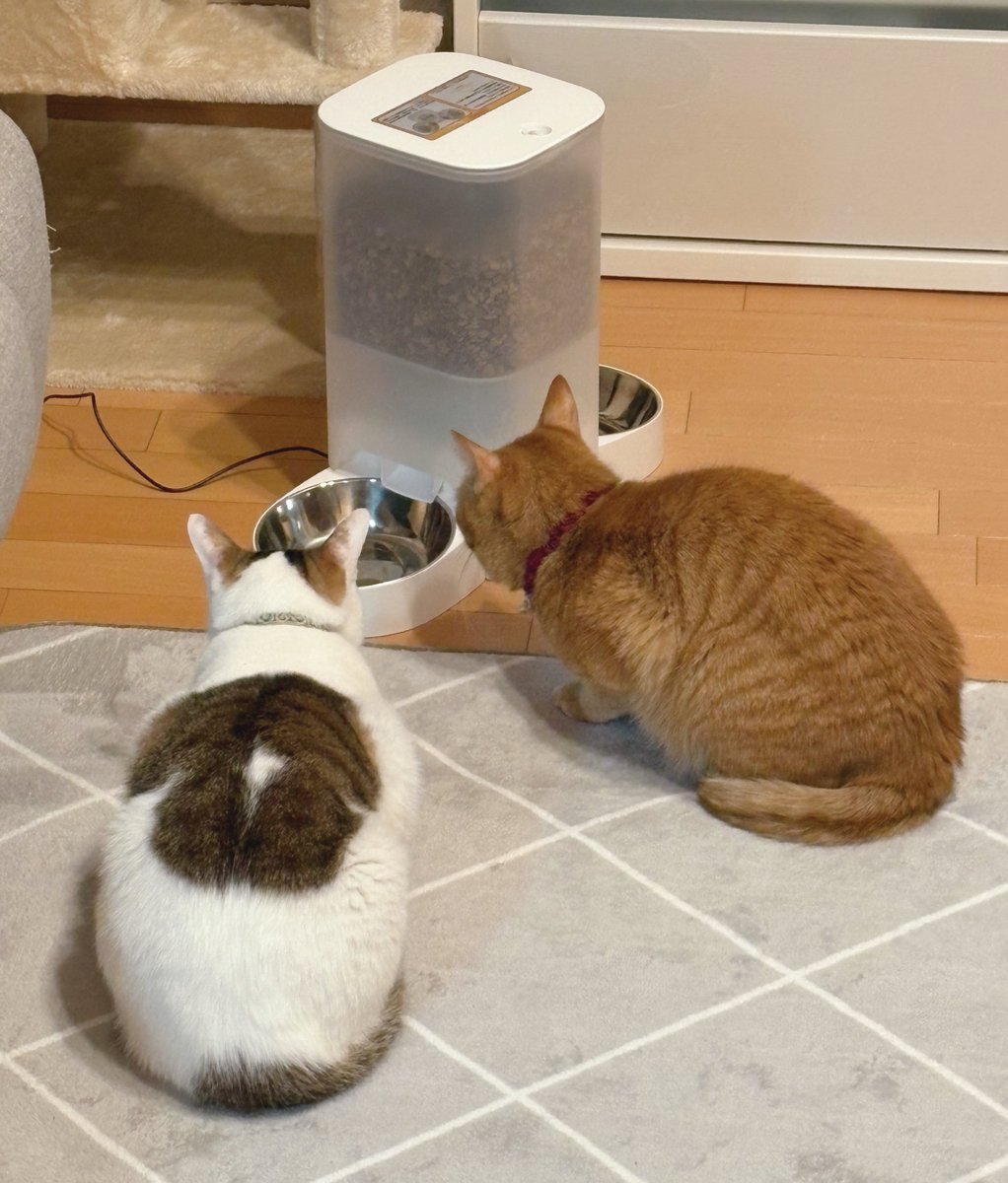 ⭐︎きょん⭐︎ きょん (@kyonCry) / Posts / X