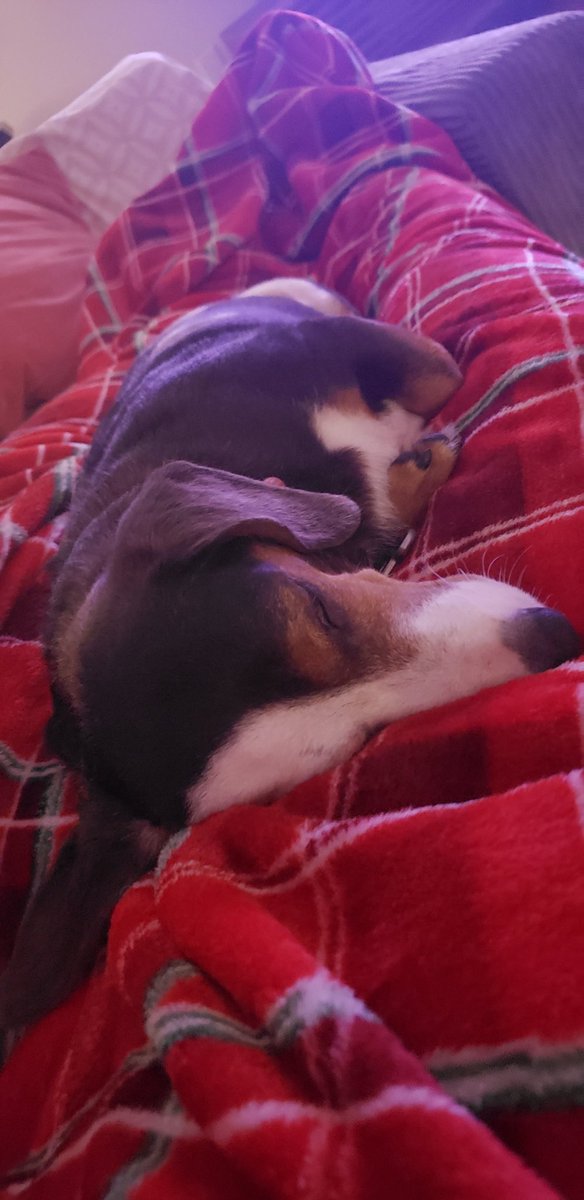 verbalriotshow's tweet image. Freeloader 😂