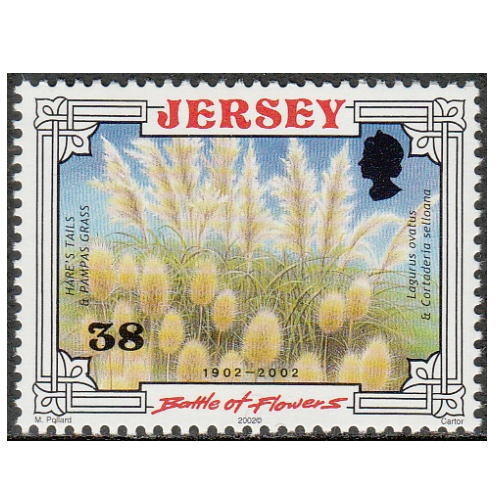 kitte_museum's tweet image. 今日11月25日の誕生花は「パンパスグラス」で、花言葉は「小さな愛」です。
紹介する切手は「花パレード100年 」(2002年発行、イギリス王室領ジャージー)から「パンパスグラス」で、羽毛のようにやわらかい花穂をつけます。