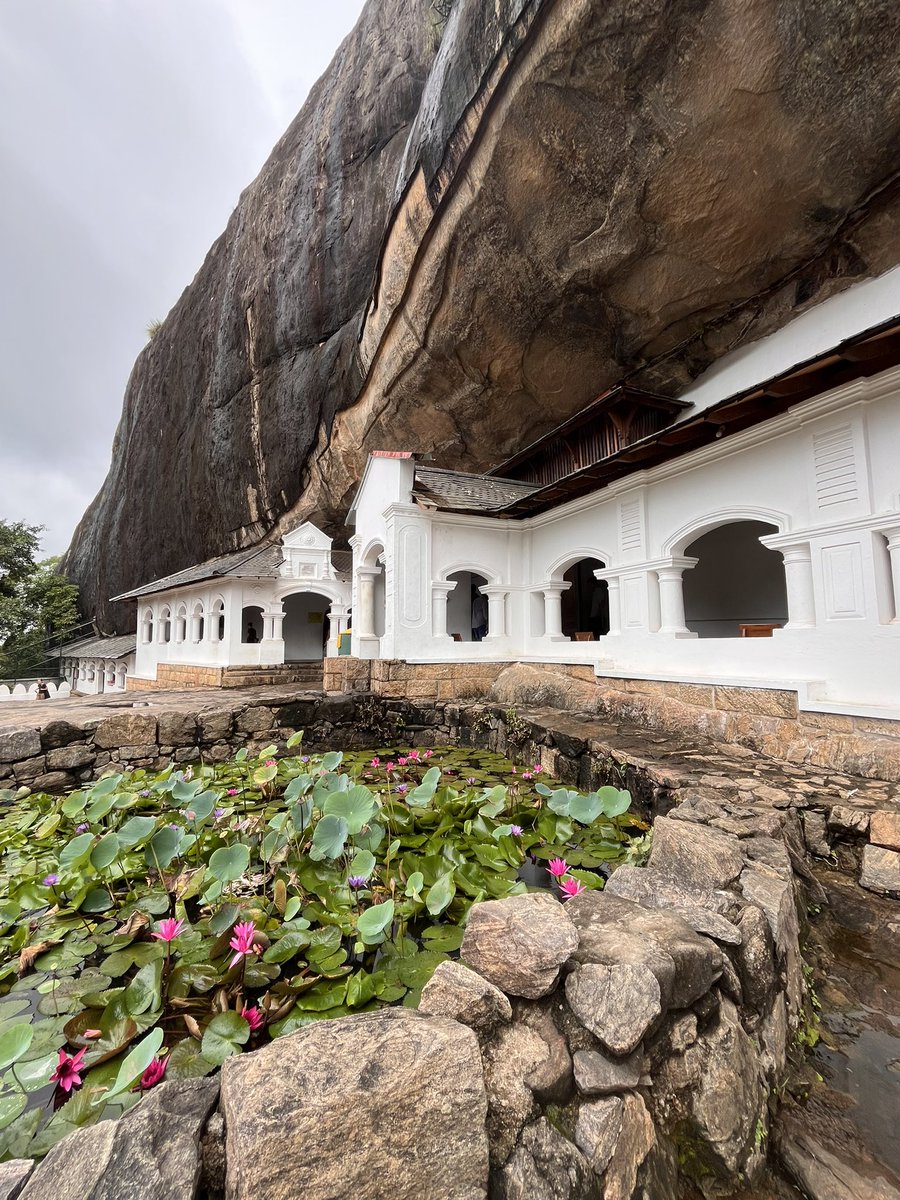 Maximum Exposure tweet media