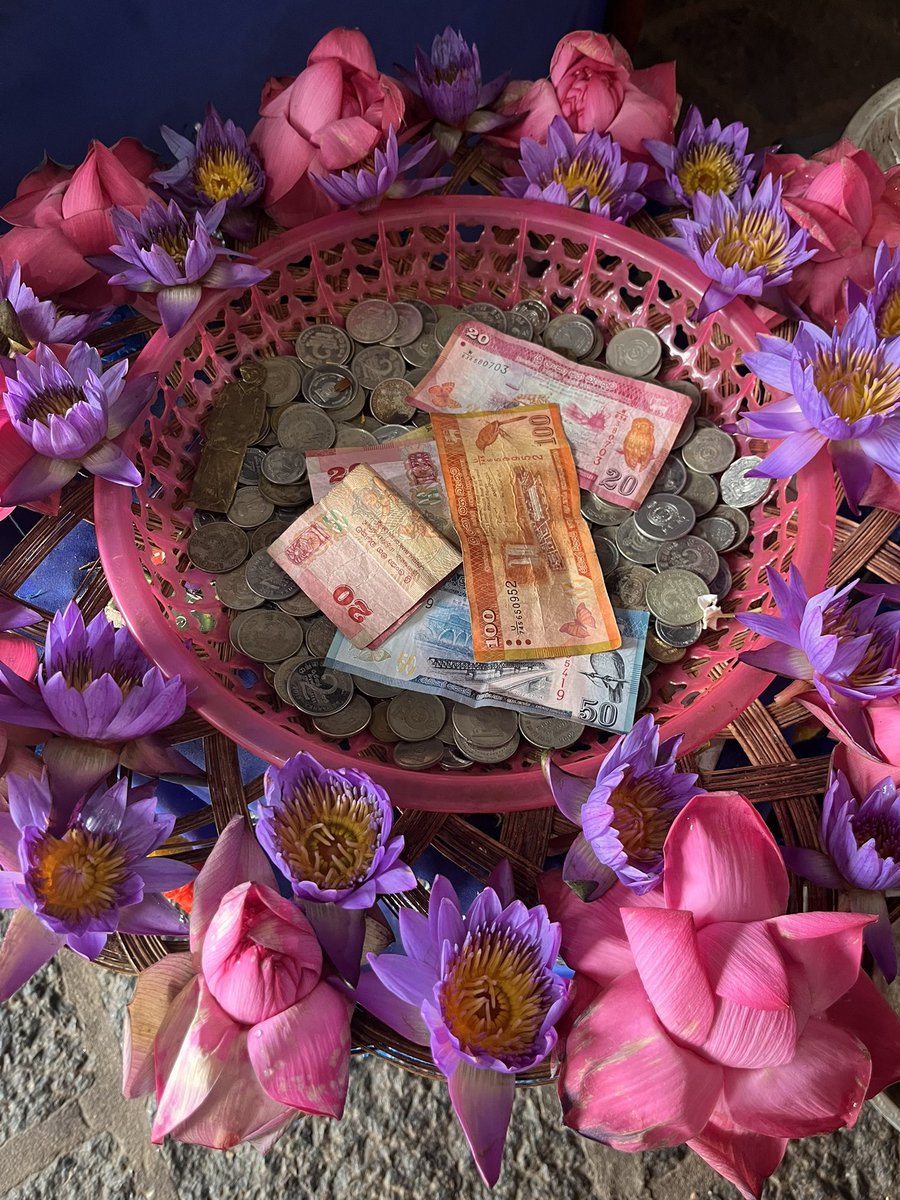 Maximum Exposure tweet media