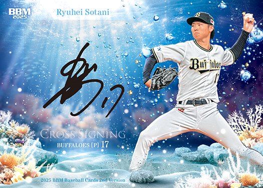 直筆サイン入り 曽谷龍平 バナーフラッグ